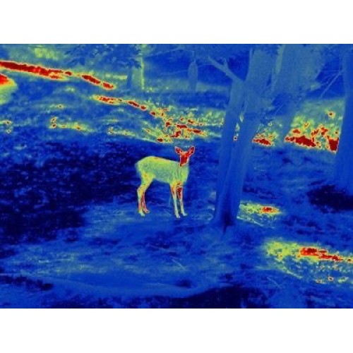 Прицел тепловизионный GUIDE TS450 в Ангарске