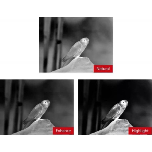 Тепловизионный бинокуляр Guide TN430 400х300, ø35мм, лазерный дальномер в Ангарске