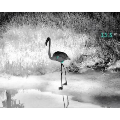 Тепловизионный бинокуляр Guide TN430 400х300, ø35мм, лазерный дальномер в Ангарске