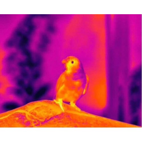 Тепловизионный бинокуляр Guide TN430 400х300, ø35мм, лазерный дальномер в Ангарске